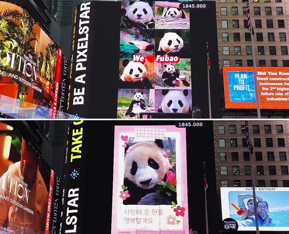Des photos de Fu Bao et des messages d’amour sont diffusés sur le panneau d’affichage de Times Square, à New York. © Capture d’écran de TSX Livestream