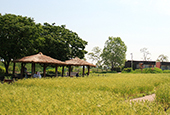 Le parc Haneul en été