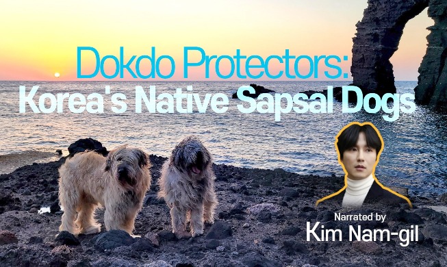 Découvrez l'histoire des chiens Sapsal, les gardiens de Dokdo