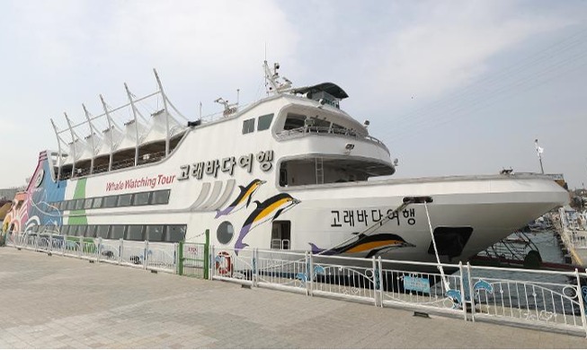 Les croisières aux baleines de Jangsaengpo reprennent du service le 30 mars