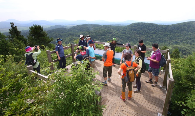 Découvrez les sentiers d'un site du patrimoine naturel mondial à Jeju