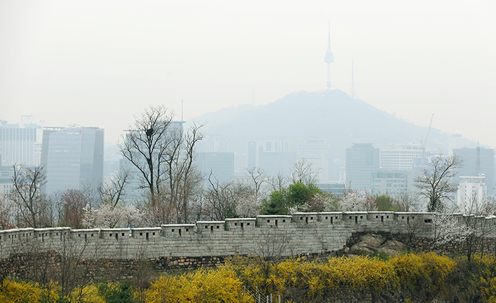 드라이브와 함께 산책을 즐기기에 좋은 인왕산의 꽃길 (사진: 전한 기자)