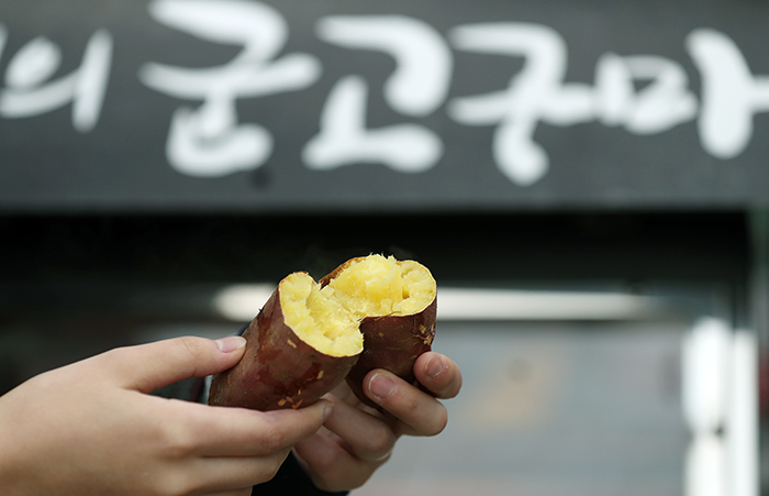 Le gungoguma (patate douce rôtie) se mange chaud en soufflant dessus, ce qui en fait une collation hivernale parfaite. ⓒ Korea.net DB