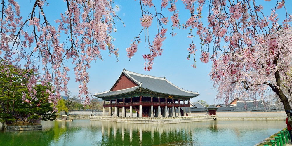 L'intérieur du pavillon Gyeonghoeru, le plus grand nugak à deux étages de Corée, ou un bâtiment sans portes ni murs permettant une vue panoramique, sera également ouvert aux visiteurs pendant sept mois, du 1er avril au 31 octobre.