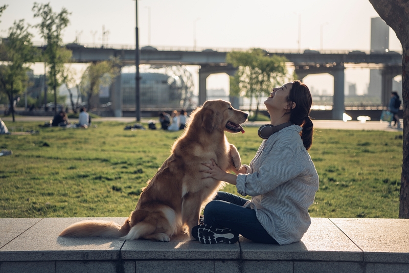 Plus de 5,52 millions de ménages coréens possèderaient un animal de compagnie en 2022, selon le KB Management Research Institute. © iclickart (L'utilisation non autorisée de cette photo est strictement interdite par la loi sur le droit d'auteur.)