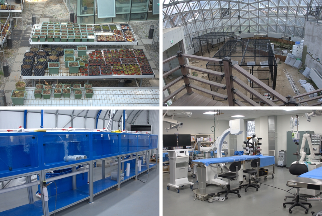 De gauche à droite et de haut en bas : une serre pour les plantes, une serre pour les insectes, une clinique vétérinaire et une salle de recherche pour les poissons et les invertébrés. © Gil Kyuyoung / Korea.net