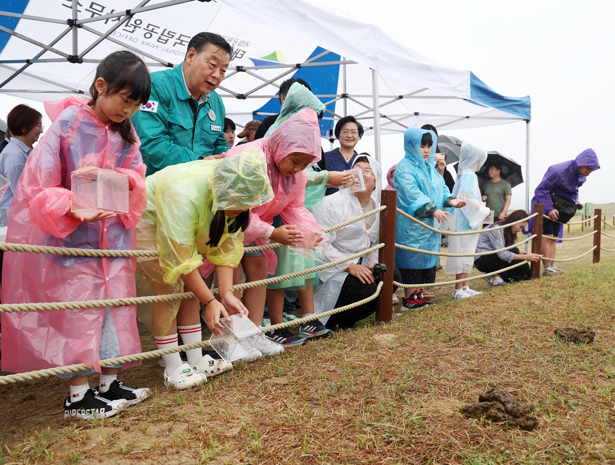 Le Centre de recherche sur les espèces menacées organise un événement pour libérer 200 bousiers dans la dune côtière de Sinduri à Taean, dans le Chungcheong du Sud, en septembre dernier. © Institut national d’écologie