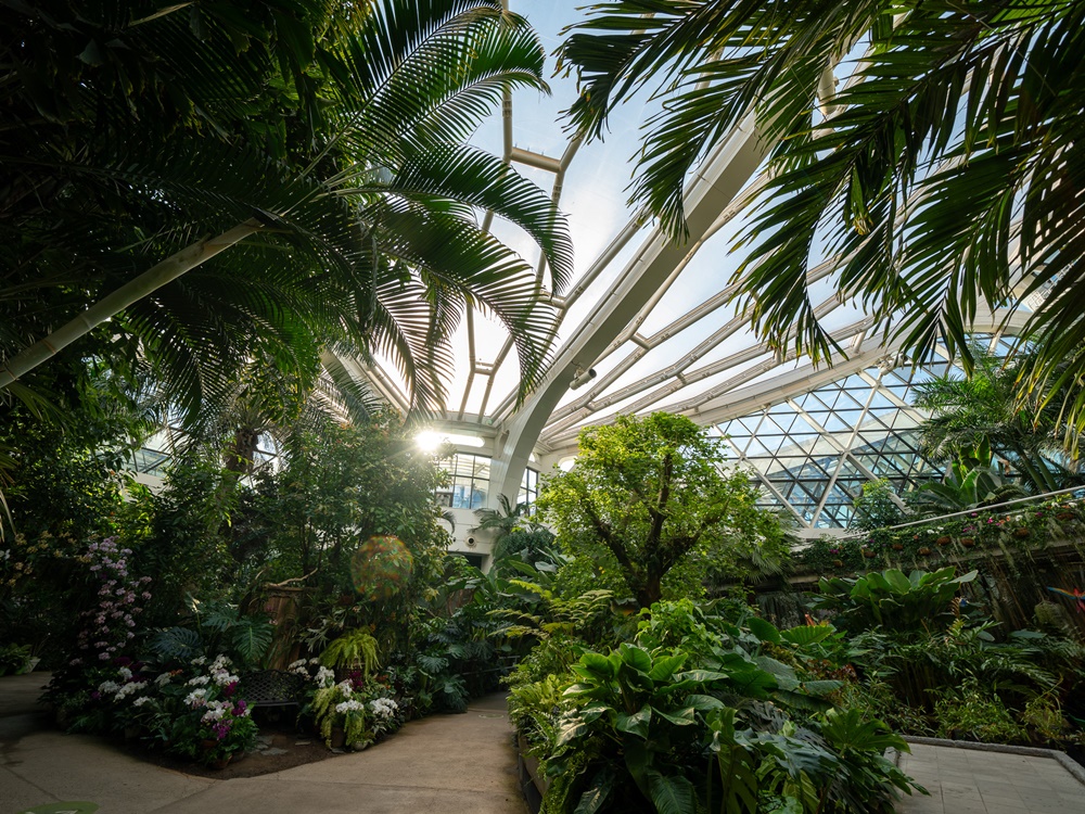 La grande serre du jardin botanique de Séoul, ouverte toute l’année. © Office national du tourisme coréen