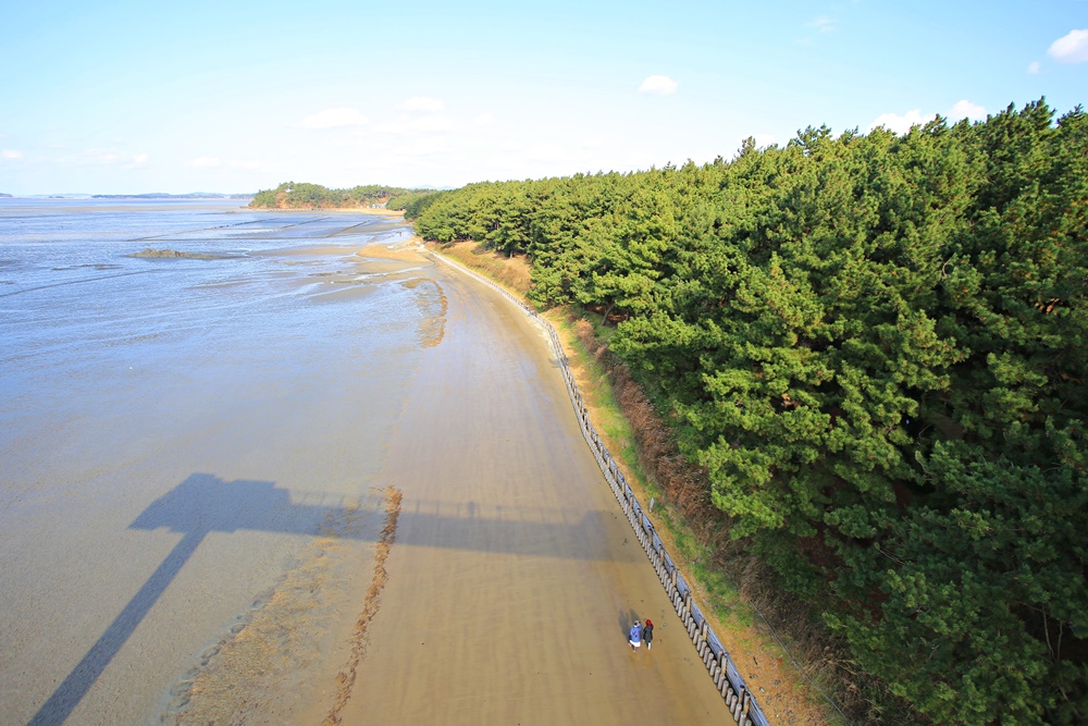 La Songlim Forest Bathing Area se situe à Janghang, près de la zone cotidale (getbol) de Seocheon, dans le Chungcheong du Nord. © Office national du tourisme coréen