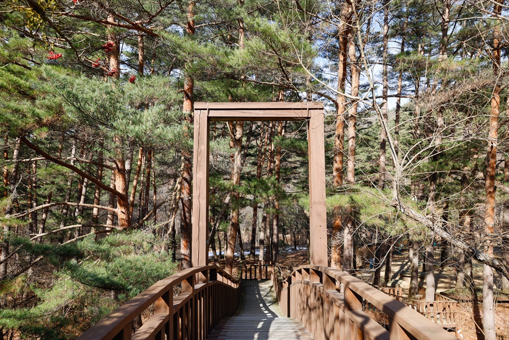 Un des jardins du jardin botanique des espèces endémiques de Corée. © Office national du tourisme coréen