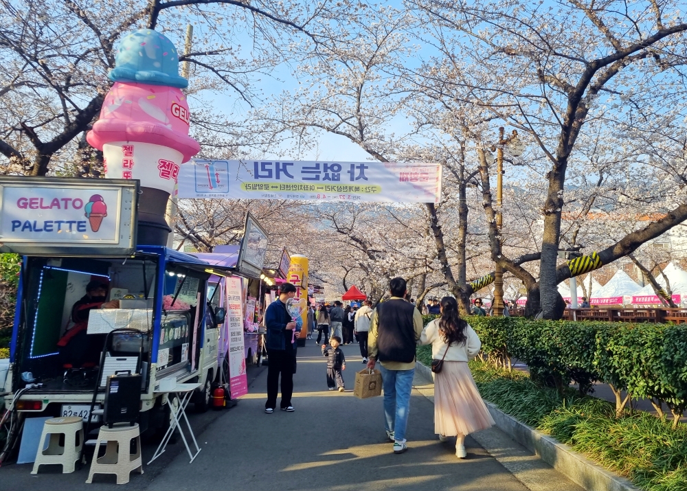 Une rue de Jinhae décorée à l’occasion du Jinhae Gunhangje Festival, le 31 mars 2025. © Aisylu Akhmetzianova / Korea.net