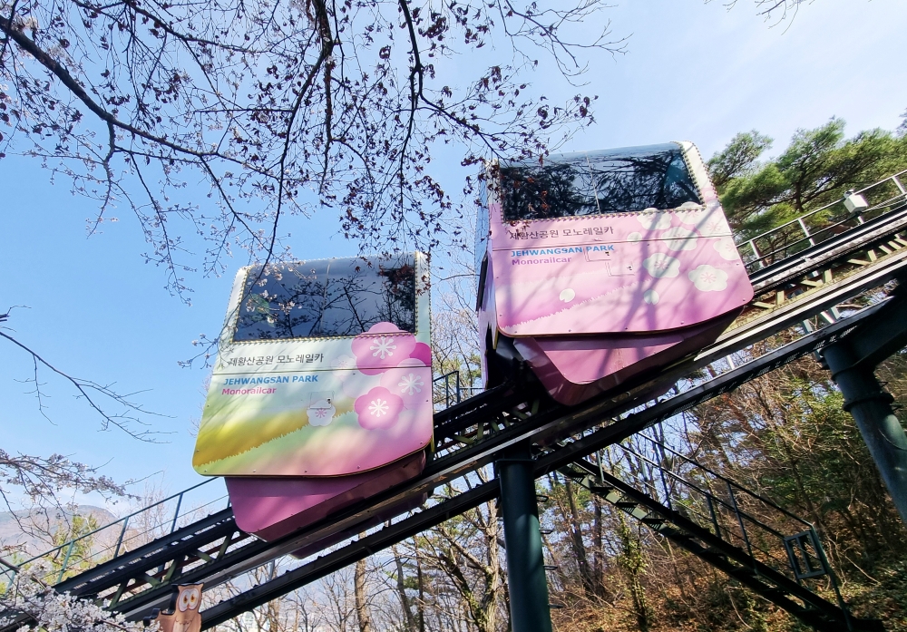 Le monorail, qui emmène les touristes au sommet du parc Jehwangsan à Jinhae, le 31 mars 2025. © Aisylu Akhmetzianova / Korea.net
