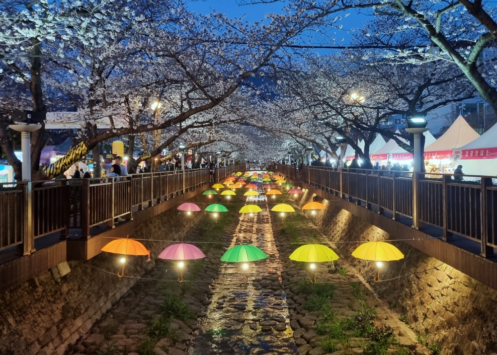 Vue nocturne sur le ruisseau Yeojwacheon, à Jinhae. © Aisylu Akhmetzianova / Korea.net