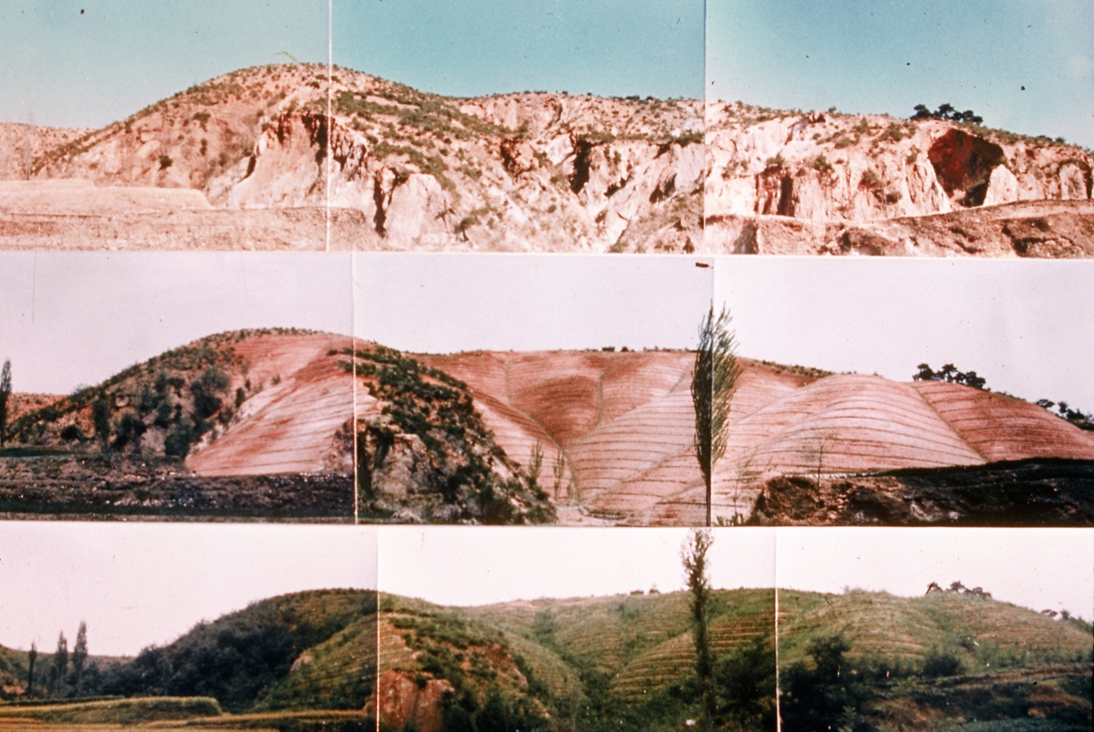 Les photos illustrant le reboisement du port de Yeongilman à Pohang, dans le Gyeongsang du Nord, de 1973 à 1977. © Service du patrimoine coréen