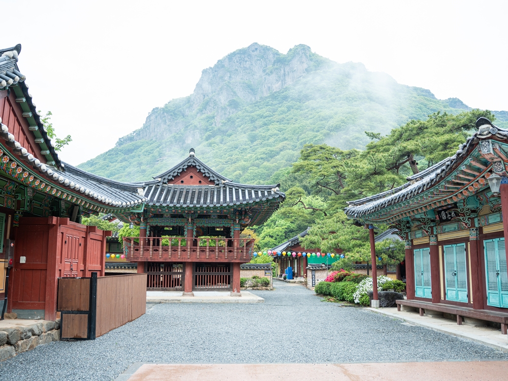 Situé près de Jangseong, dans le Jeolla du Sud, le temple Baekyangsa est aussi niché sur les flancs sud des monts Naejangsan, célèbre pour la beauté de ses arbres en automne. Il a été fondé au VIIe siècle, alors que le bouddhisme arrivé de Chine se répandait en Corée. © Ministère de la Culture, des Sports et du Tourisme
