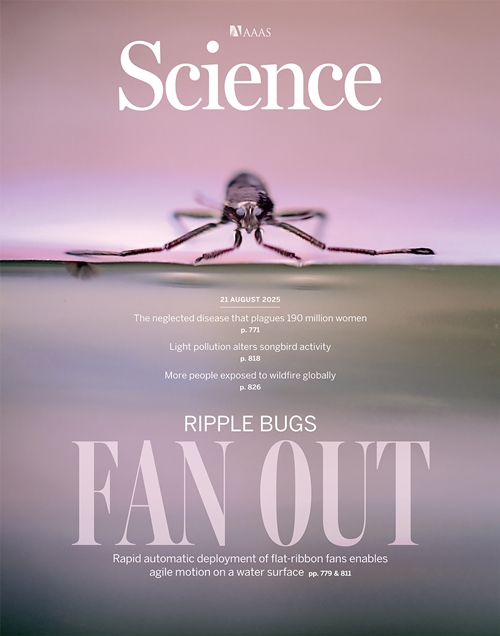 L’article relatant cette invention fait la couverture de la revue Science du 21 août 2025. © Science