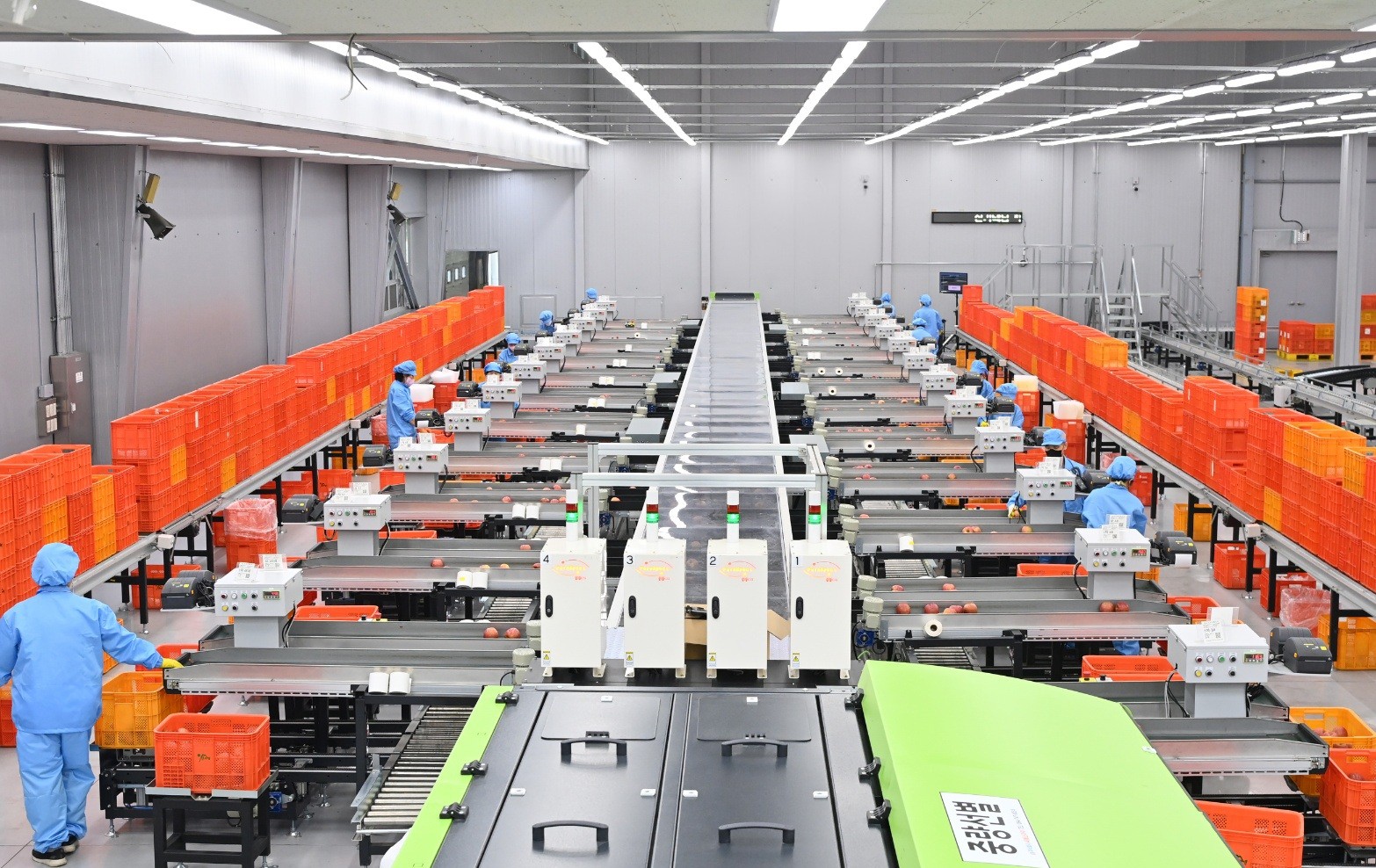 La province du Gyeongsangbuk-do (Gyeongsang du Nord) investit dans la modernisation et l’automatisation de 16 de ses 133 centres de transofmration des produits agricoles depuis 2023. © Province du Gyeongsangbuk-do