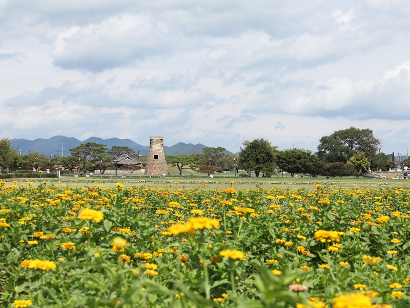 L&rsquo;observatoire de Cheomseongdae, &agrave; Gyeongju. &copy; Park Dae-jin / Korea.net