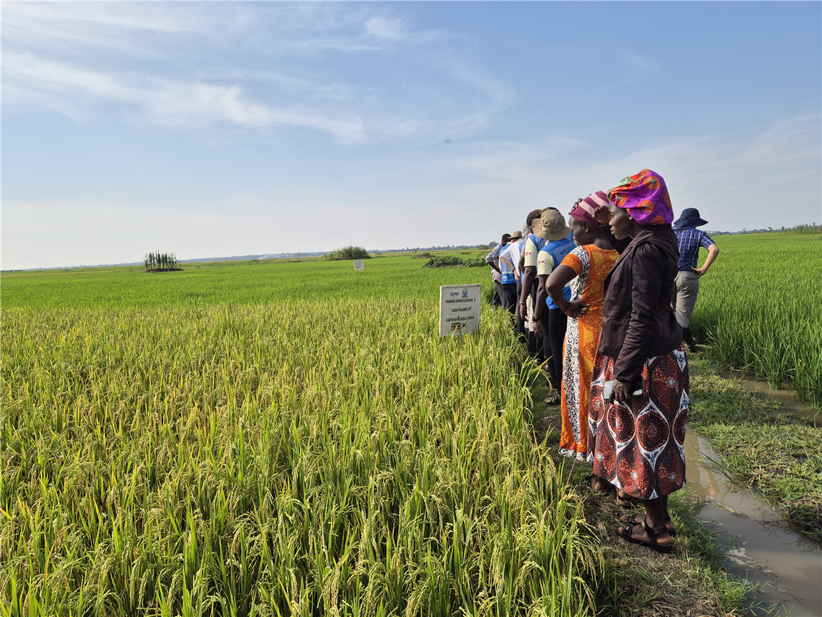 La formation des agriculteurs locaux en Ouganda &copy; Minist&egrave;re de l'Agriculture, de l'Alimentation et des Affaires rurales  