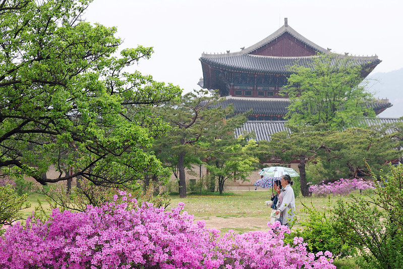 Deux personnes se baladent sous la pluie dans le palais Gyeongbokgung, &agrave; S&eacute;oul, le 20 avril 2026. &copy; Korea.net DB