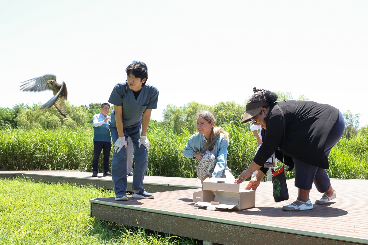 Une participante d’une activité de découverte de la nature organisée par le centre de soins de la faune sauvage du Nakdong River Estuary Eco Center relâche un oiseau après que celui-ci ait reçu des soins, à Busan, le 24 juillet 2026. © Park Dae-jin / Korea.net