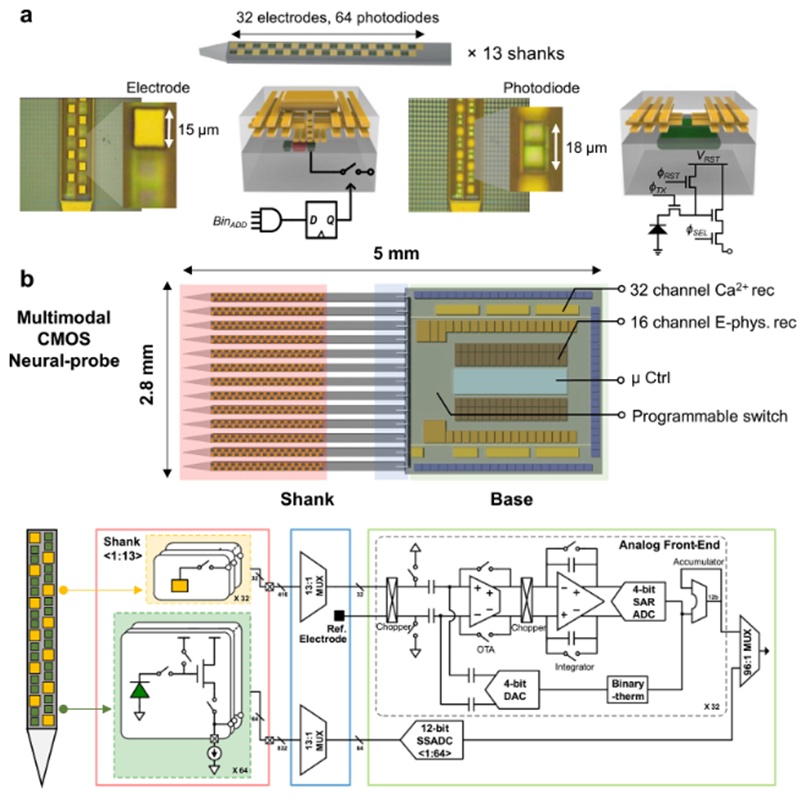 Diagramme du fonctionnement de l’interface cerveau-machine mis au point par une équipe du Korea Institute of Science and Technology. © Advanced Science