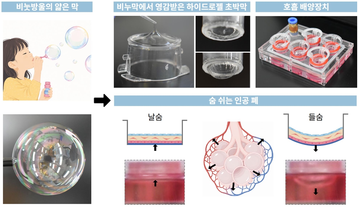 Photo d’illustration. © Pohang University of Science and Technology 