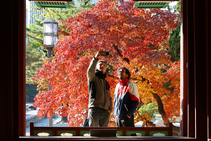 Deux hommes prennent un selfie devant un arbre flamboyant au palais Deoksugung, à Séoul. © Korea.net DB