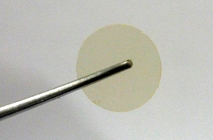 Cosmetics_insects_04.jpg