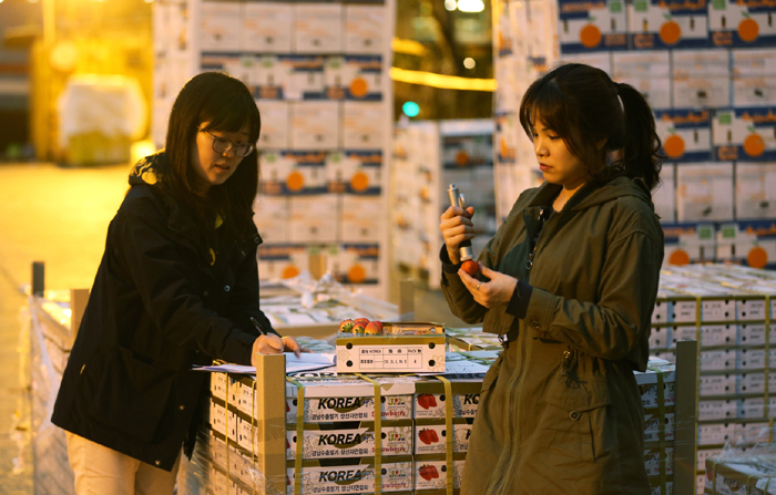 관계자들이 선박으로 홍콩 현지에 도착한 국산딸기 ‘설향’의 신선도를 확인하고 있다. 