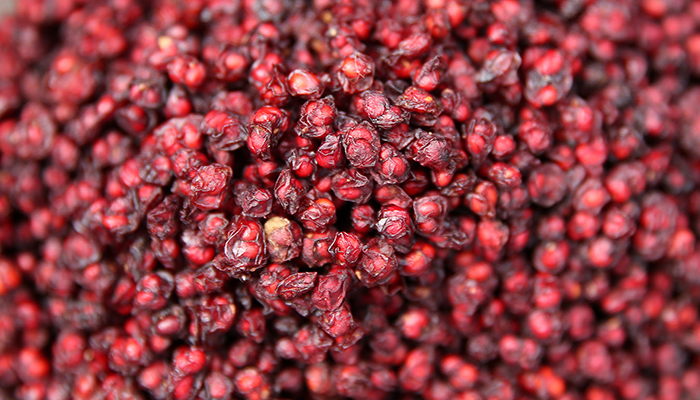 Omija berries are the main ingredient in hwachae juice. The name of the fruit means 'five flavor fruit,' as it is said to have five tastes: sweet, bitter, sour, hot and spicy.