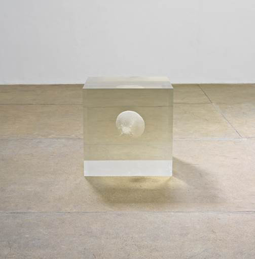 biennale-140911-9.jpg