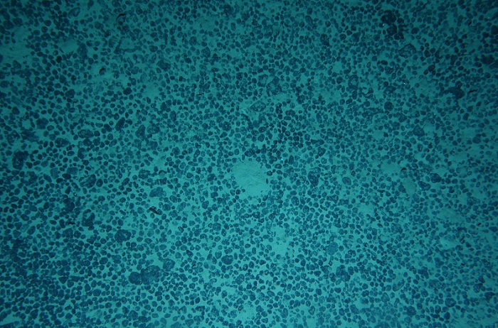 manganese%20nodule_03.jpg