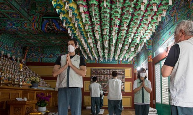 Le programme de séjour en temple bouddhiste attire plus de 6 millions de participants en 20 ans