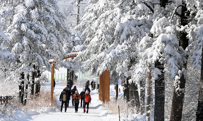 Neige en montagne