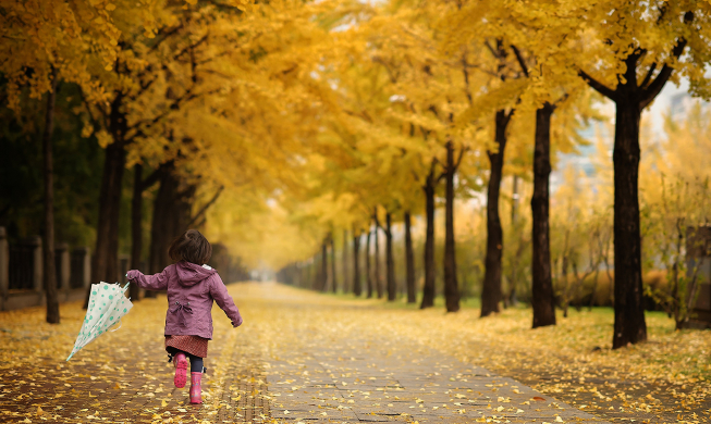 Voici les 96 meilleurs sentiers pour admirer les couleurs de l'automne