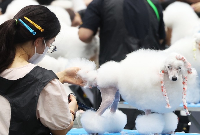 Korea Grand Prix Dog Show 2026