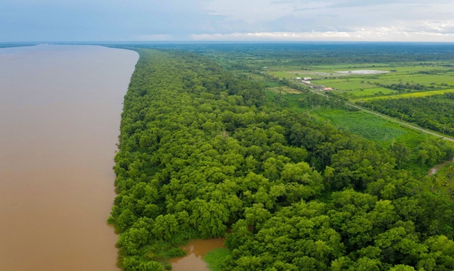 L’Office national des forêts lance un projet de restauration de la mangrove au Guyana