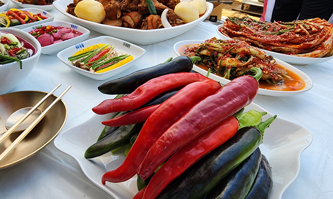 Saveurs épicées et douceurs sucrées au festival du piment et des baies de goji de Che...