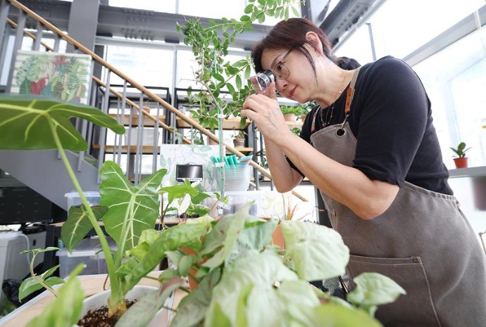 Clinique pour plantes d’intérieur
