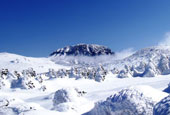 Le festival d’hiver de la Montagne Hallasan et ses magnifiques paysages