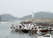 Festival des produits de la mer du port de Mohang à Taean 