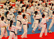 Le Festival culturel mondial de Taekwondo