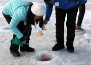 Festival de la truite de montagne (Hwacheon Sancheoneo)