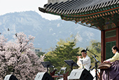 Des concerts dans les palais royaux