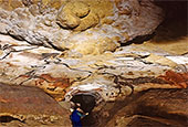 Les peintures paléolithiques des grottes de Lascaux exposées en Corée