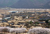 Le village Hahoe redonne vie aux traditions et au patrimoine