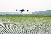 Des drones pour aider les agriculteurs