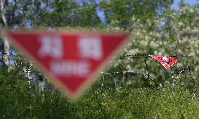 Les deux Corées commencent à éliminer les mines terrestres dans la zone démilitarisée (DMZ)