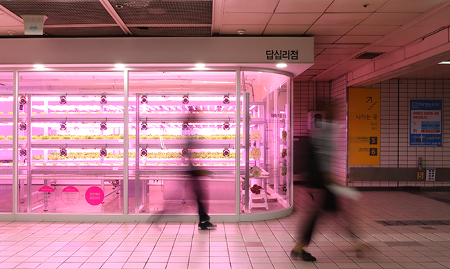 Connaissez-vous les stations insolites du métro de Séoul ?